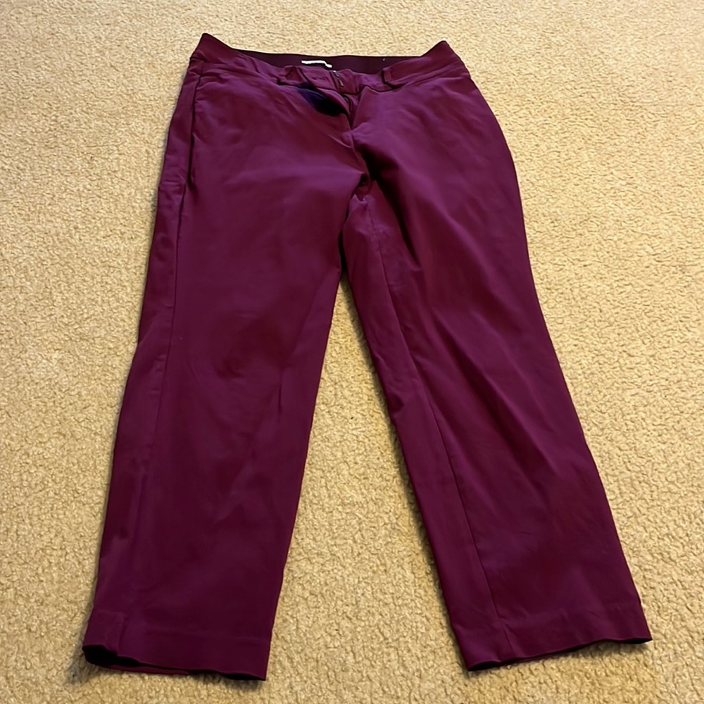 Lane Bryant Allie pants